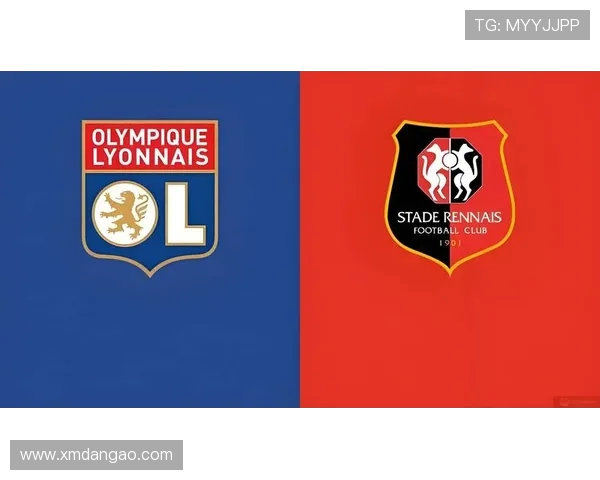 法甲里昂防守阵型的演变与战术调整策略 法甲里昂防守阵型的演变与战术调整策略